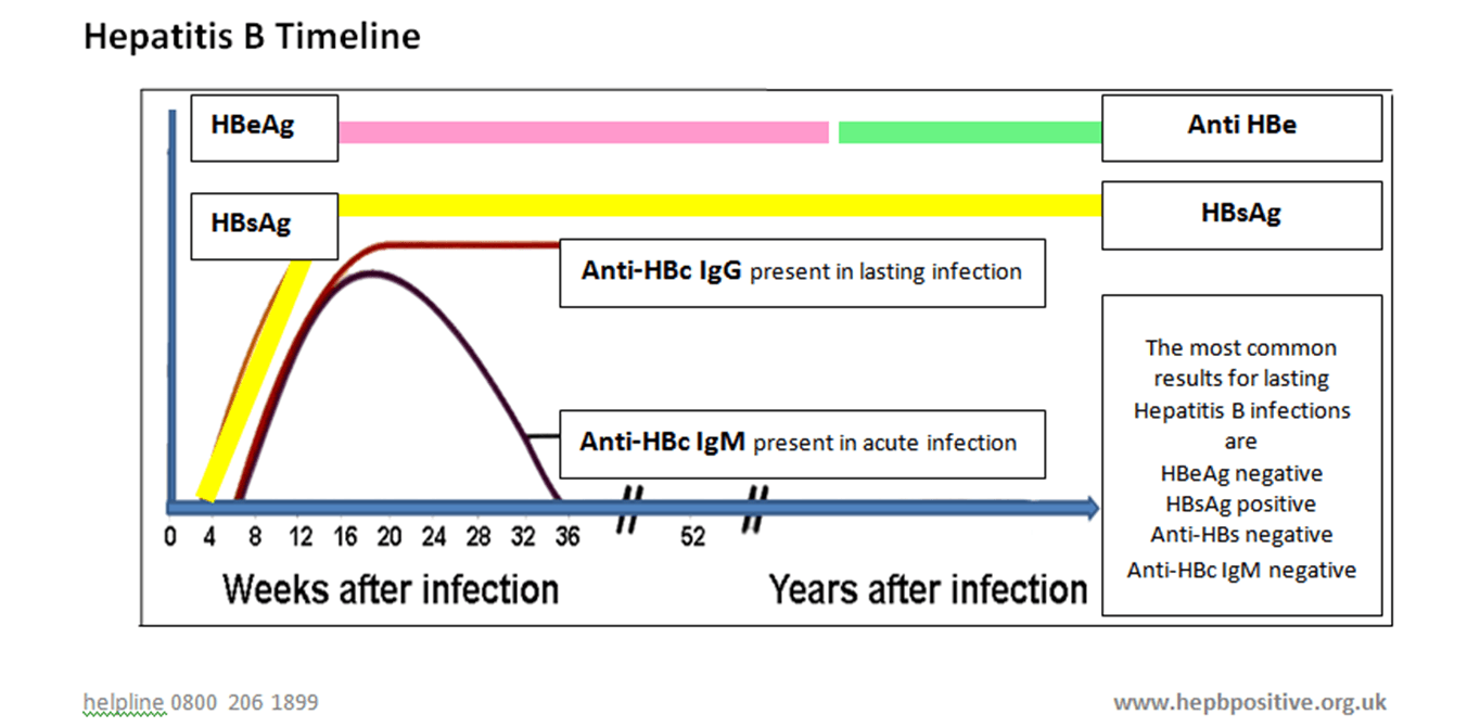 Acute Hepatitis-How Best To Clear